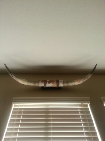 C360_2013-12-23-15-54-25-335.jpg image